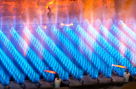 Heskin Green gas fired boilers